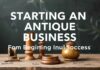 Antika Eşyalar ile İş Kurmak: Başlangıçtan Yükselişe Starting an Antique Business: From Beginning to Success