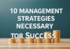 Başarı için Gerekli 10 Yönetim Stratejisi 10 Management Strategies Necessary for Success