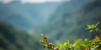 İş Başarısını Artırmak İçin Doğa İle İletişim Kurun To Increase Work Success, Connect with Nature