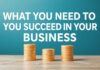 İş Dünyasında Başarı için Gerekenler What You Need to Succeed in the Business World