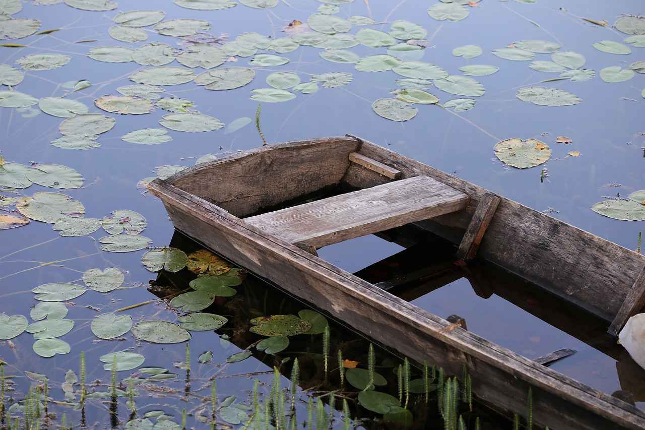 Tesbih Çeşitleri: Ahşap, Kök, Amber ve Diğerleri